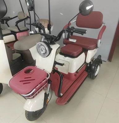 Manned Leisure Electric Vehicle Hot Chinese Small Electric Tricycle with Powerful 801-1000W Motor