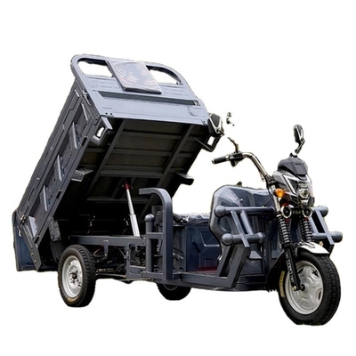 60V100Ah Lithium Ion Battery Multifunctional Electric Cargo Tricycle for Adults 801-1000W