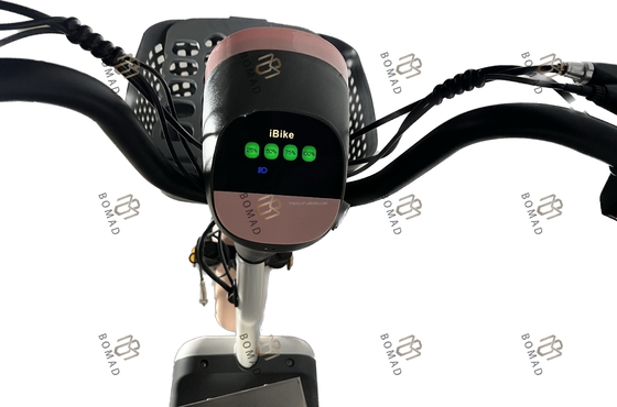 Sample Electric City Bike Bicycle Electric Scooter Bike with Lowest and Steel Frame Material