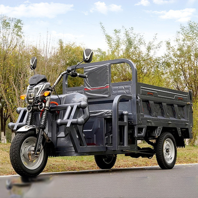2 Passenger Electric Cargo Tricycles with Cargo Box 60V 1000W DC Motor and Performance