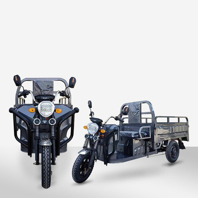 2 Passenger Electric Cargo Tricycles with Cargo Box 60V 1000W DC Motor and Performance