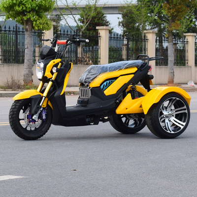 Adult Electric Tricycle for Grade Ability ≥25° and 60V100Ah Lithium Ion Batteries