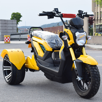 Adult Electric Tricycle for Grade Ability ≥25° and 60V100Ah Lithium Ion Batteries