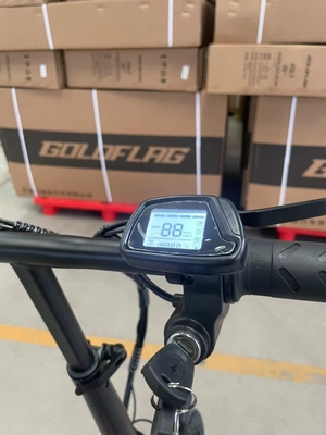 Affordable Electric Bikes for Adults Charging Time 3 hours Tire Width 20*2.8 Convenient