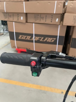 Affordable Electric Bikes for Adults Charging Time 3 hours Tire Width 20*2.8 Convenient