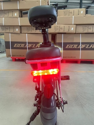 Affordable Electric Bikes for Adults Charging Time 3 hours Tire Width 20*2.8 Convenient