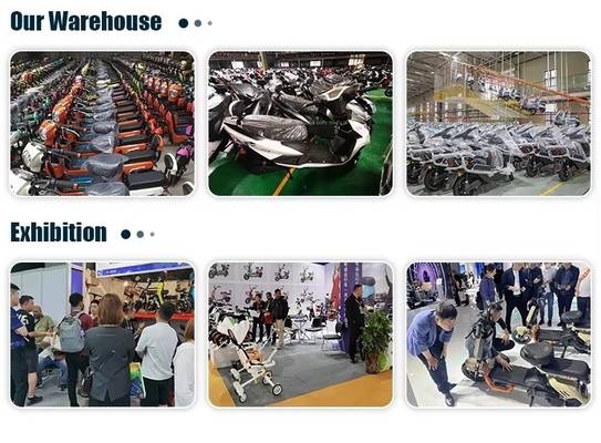 Customized Color Lithium Battery for Electric Motorcycle Max. Speed 75km/h 2000w Electric Moped 5000w