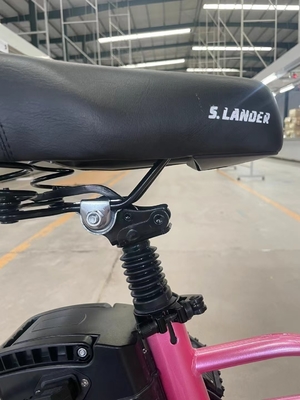 Two-Wheel Foldable Electric Bicycle with Pedal and Electric Light Range per Power 60 km Charging Time 3 hours