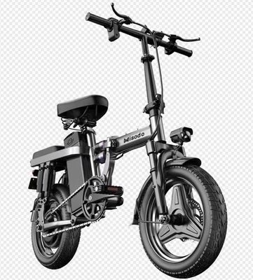 2024 Folding EMU 1000w EMU Long Distance Pedal City EMU with Steel Frame Material and Max Speed 30-50Km/h