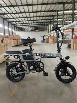 2024 Folding EMU 1000w EMU Long Distance Pedal City EMU with Steel Frame Material and Max Speed 30-50Km/h