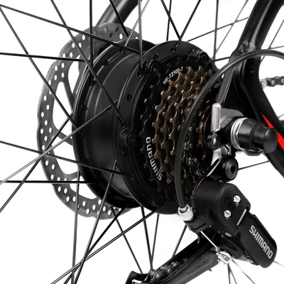 800W Pedal Chain Electric Motor Vehicle for Mountain Adventures Max Speed 30-50Km/h Battery Position Integrated Battery