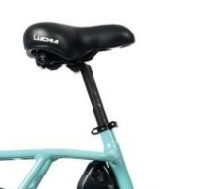Small Green Chain-Locked Electric Bicycles with Integrated Battery and 60 km Range per Power