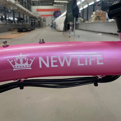 10.5 AH Battery Capacity Rear Hub Motor Electric Scooter for Men and Women Generation Drive Foldable