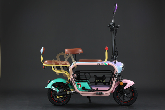 Compact Electric Bicycle with Lithium Battery Power Supply and Fast Charging Time