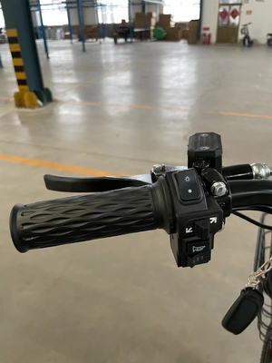 Steel Frame 18 Speed Electric Automatic Driving 48V Adult Leisure Bicycle Two-Wheel Power Electric Motor