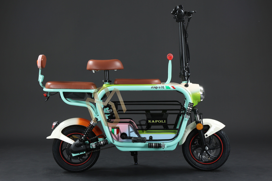 Compact Electric Bicycle with Lithium Battery Power Supply and Fast Charging Time