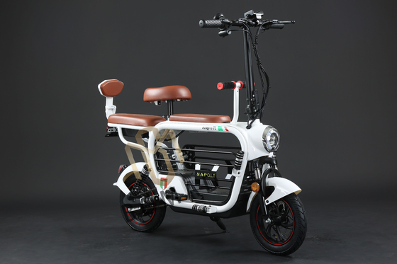 Compact Electric Bicycle with Lithium Battery Power Supply and Fast Charging Time
