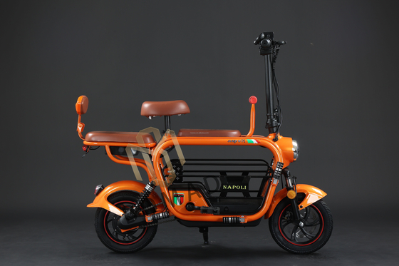 Compact Electric Bicycle with Lithium Battery Power Supply and Fast Charging Time