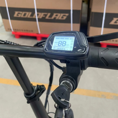 18 Speed Gears and 13.4 Ah Battery Capacity Urban Transportation Electric Bicycles for Convenient City Commuting