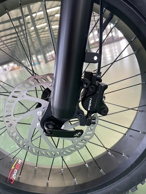 Electric Power Boosted 20 Inch Mountain Electric Bicycle with 18 Speed Gears and 50-60 Nm Torque