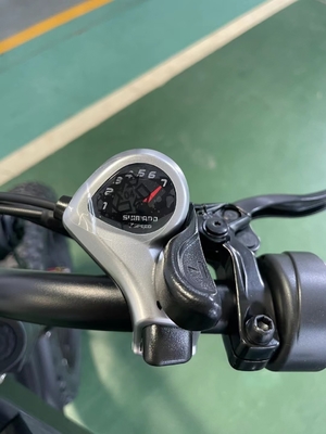 Electric Power Boosted 20 Inch Mountain Electric Bicycle with 18 Speed Gears and 50-60 Nm Torque