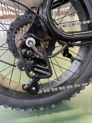 Electric Power Boosted 20 Inch Mountain Electric Bicycle with 18 Speed Gears and 50-60 Nm Torque