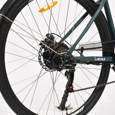 Powerful Electric City Bike featuring 350w Motor and 48v 15ah Battery
