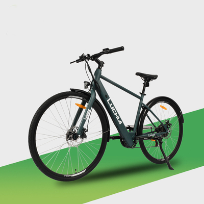 Powerful Electric City Bike featuring 350w Motor and 48v 15ah Battery