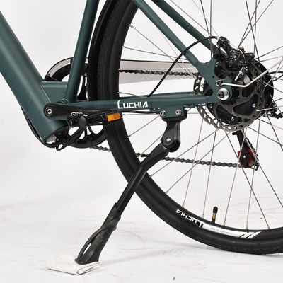 Powerful Electric City Bike featuring 350w Motor and 48v 15ah Battery