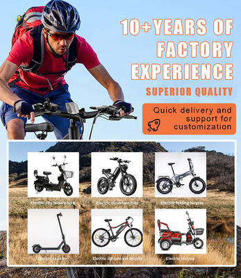 Powerful Electric City Bike featuring 350w Motor and 48v 15ah Battery