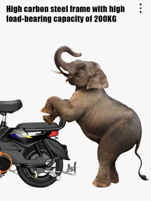 Two-Wheeled Electric Bicycle with 18&quot; Wheel Size and 60 km Range per Power Straight Hair Design