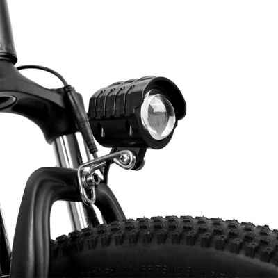 Rear Hub Motor Mid Drive Motor Custom Electric Bicycles LED Screen 36v 250w Electric City Bike