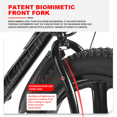 2024 Mountain Bike Big Tire Electric Bicycle with 11 ah Battery Capacity and Rear Wheel Disc Brake