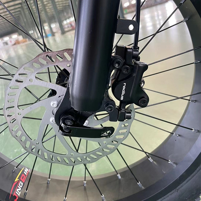 2024 Electric Bicycle with Aluminum Alloy Frame and Long-Lasting Lithium Battery