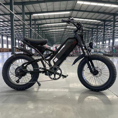 Tire Width 20*2.8&quot; Charging Time 3 Hours 60 km 20&quot; Snow Wheel 750W Motor Power Automatic Driving Battery 15A Rear Light with Brake Light