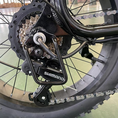 Electric Bike with Rear Hub Motor and 18 Speed Gears Lithium Battery