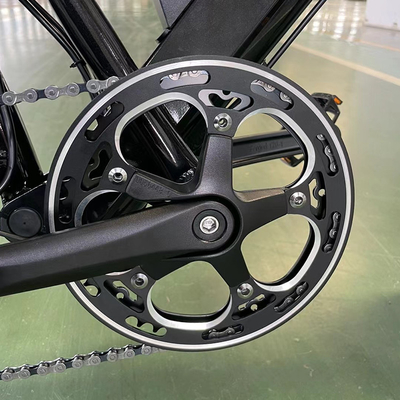 Electric Bike with Rear Hub Motor and 18 Speed Gears Lithium Battery