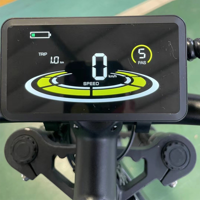 Electric Bike with Rear Hub Motor and 18 Speed Gears Lithium Battery