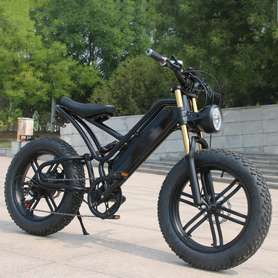 48v 750w 1000w Electrique Full Suspension Ebike E Bicycle Hybrid Electric Dirt Mountain Bike with Max Speed 30-50Km/h
