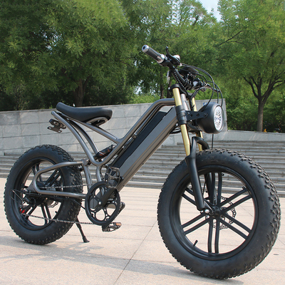 Powerful 250w Electric Bikes Adults Mountain Electrically Bike with Rear Wheal Disc Brake