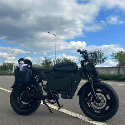 20&quot; Wheel  Electric Bike Scooter with 1000KW Power Long-lasting Lithium Battery