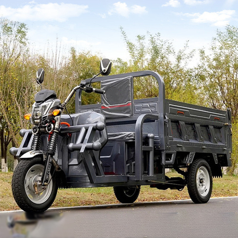 2 Passenger Electric Cargo Tricycles with Cargo Box 60V 1000W DC Motor and Performance
