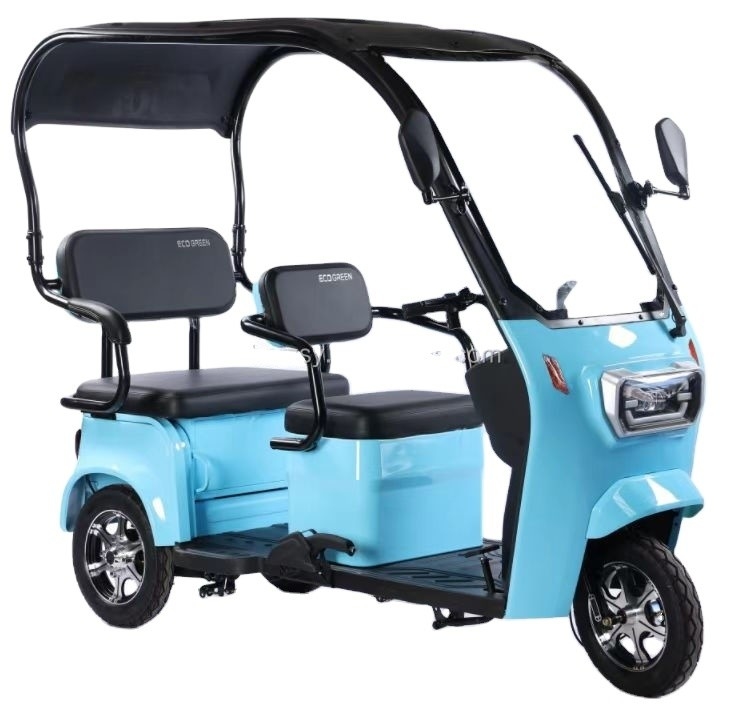 3 Wheel Electric Tricycle for Adults Tire  3.75-15 Cargo Transportation