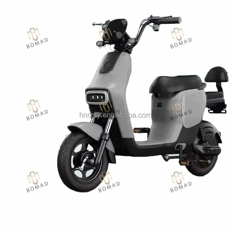 48V High Power Electric Motorcycle Sport Electric Moped Cargo Electric Motorcycles for and Convenient Transportation