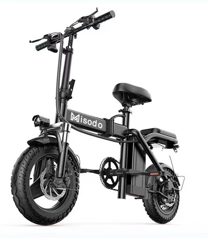 2024 Folding EMU 1000w EMU Long Distance Pedal City EMU with Steel Frame Material and Max Speed 30-50Km/h