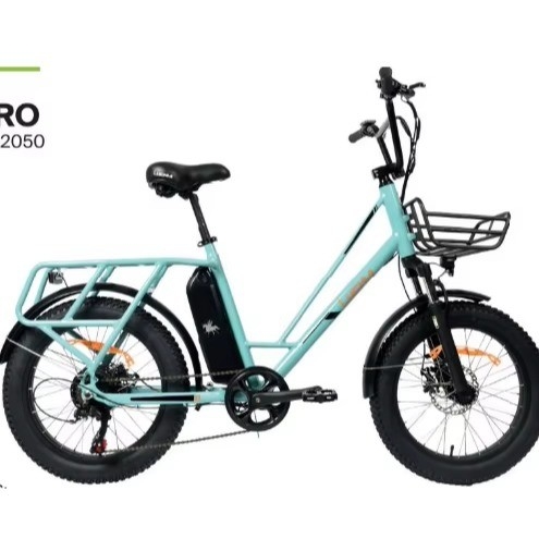 Small Green Chain-Locked Electric Bicycles with Integrated Battery and 60 km Range per Power
