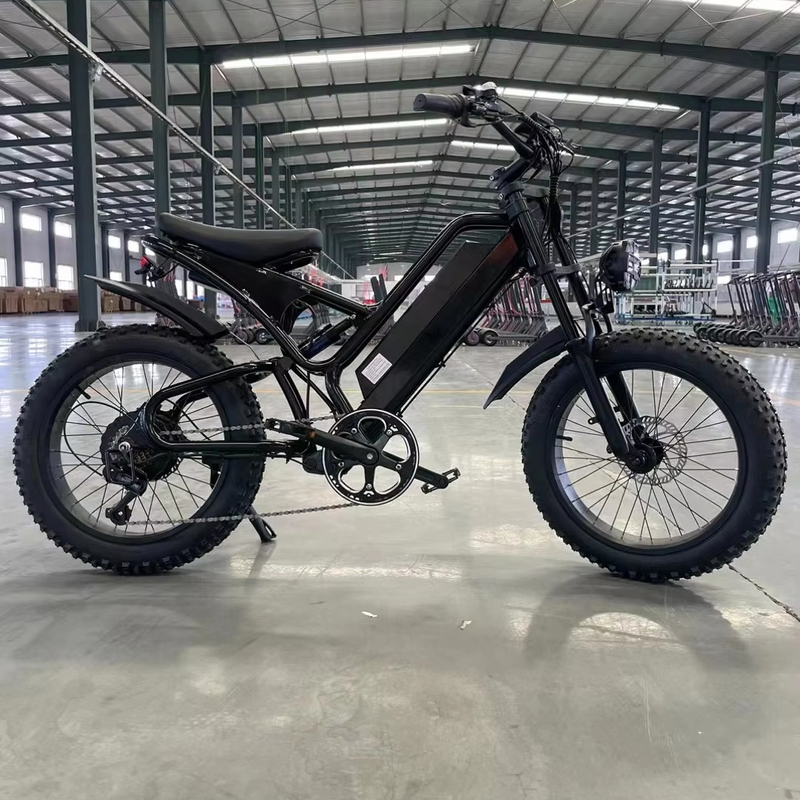 Electric Power Boosted 20 Inch Mountain Electric Bicycle with 18 Speed Gears and 50-60 Nm Torque