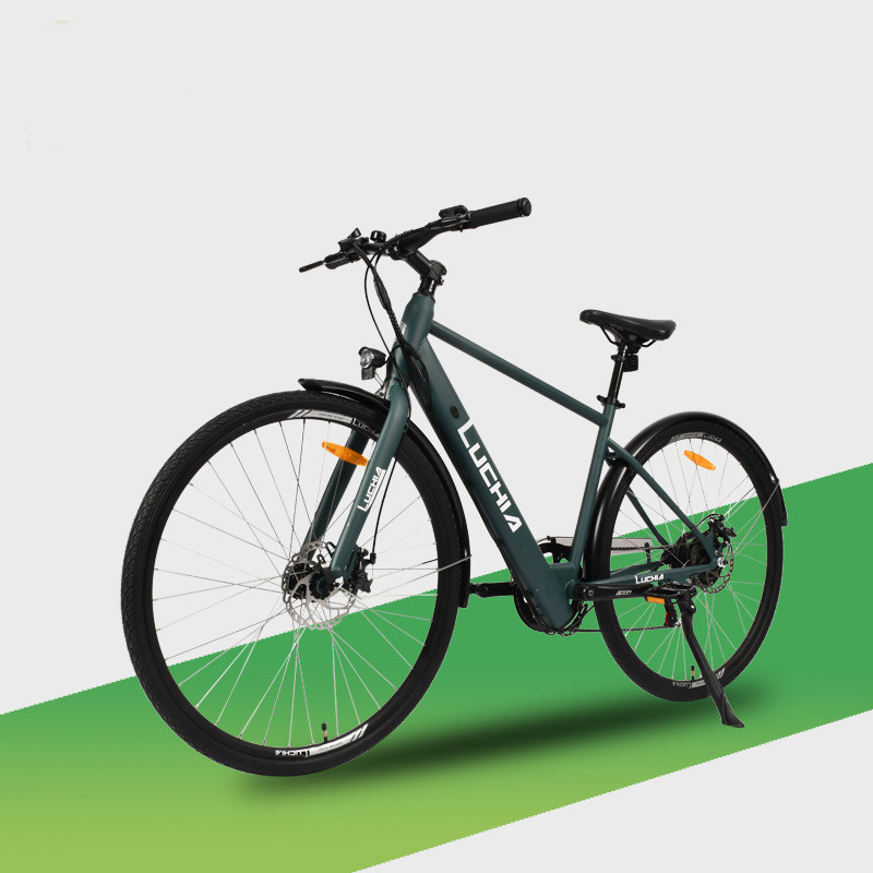 250w 36v 14 Inch 16 Inch Electric City Bike Foldable Electric Bike with Aluminum Alloy Frame