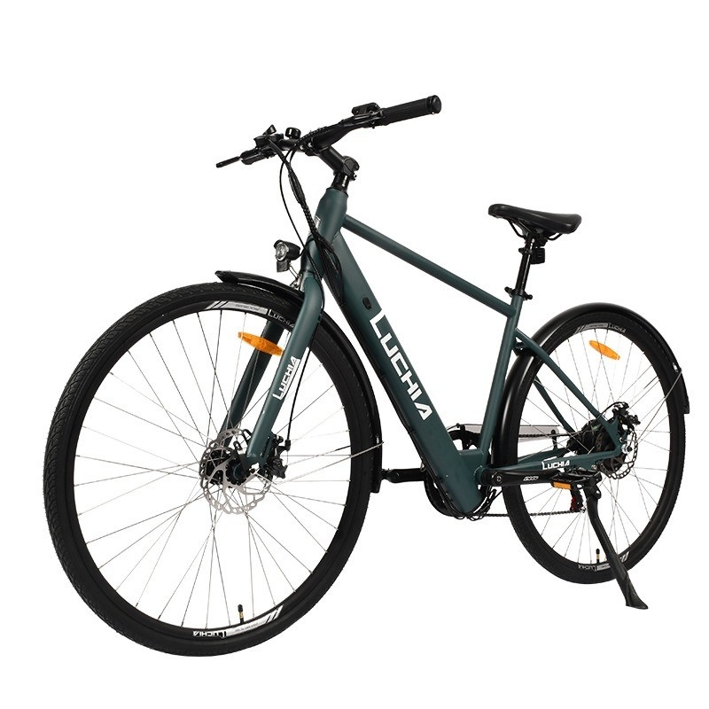 36v250w Electric City Bike for Adult 700c*40c 36v13ah Motor position Rear Hub Motor Range per Power 31 60 km