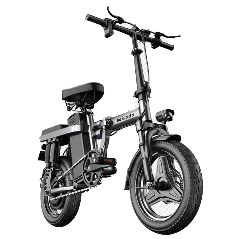 Outdoor E Bike 20 Inch Folding Electric Bike 48v 250w 25km/H Electric Bicycle with Rear Hub Motor